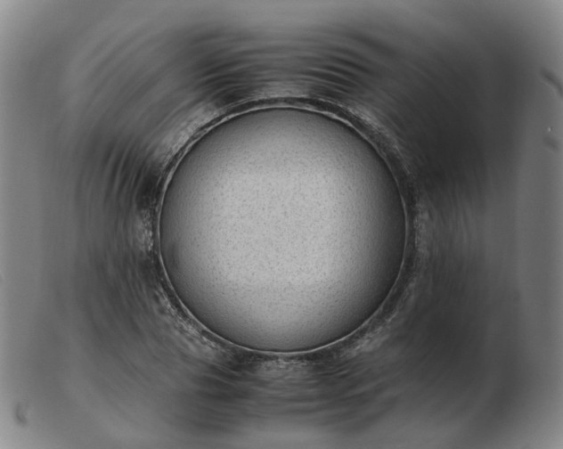 X0000103430929200809191657