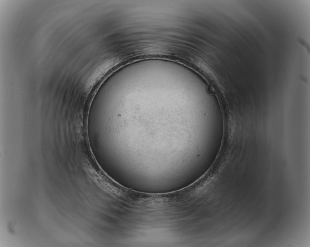 X0000103430930200809191657
