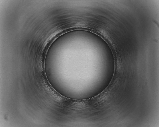 X0000103430931200809191657