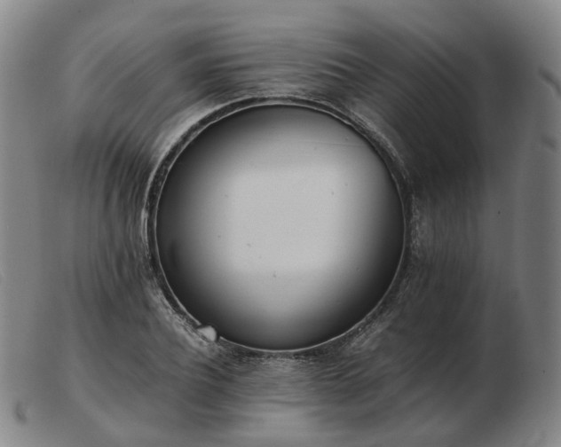 X0000103430932200809191657