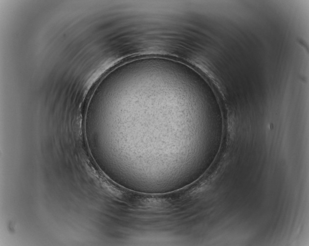 X0000103430933200809191657