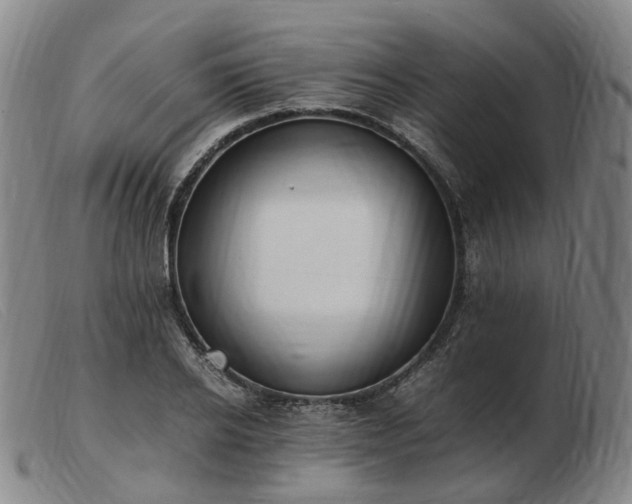 X0000103430934200809191657