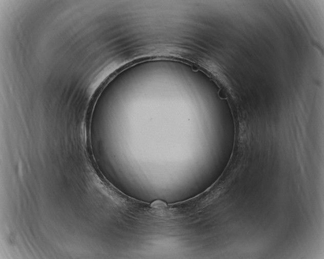 X0000103430936200809191657