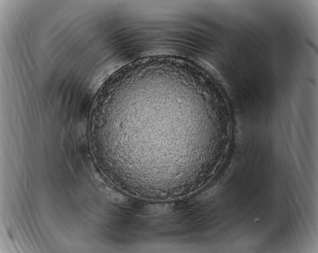 X0000103430937200809191657