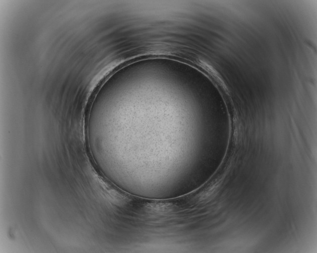 X0000103430939200809191657