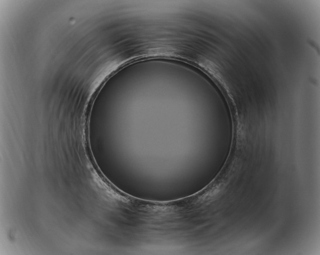 X0000103430941200809191657