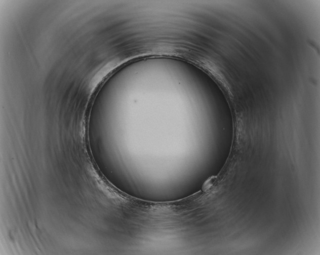 X0000103430944200809191657