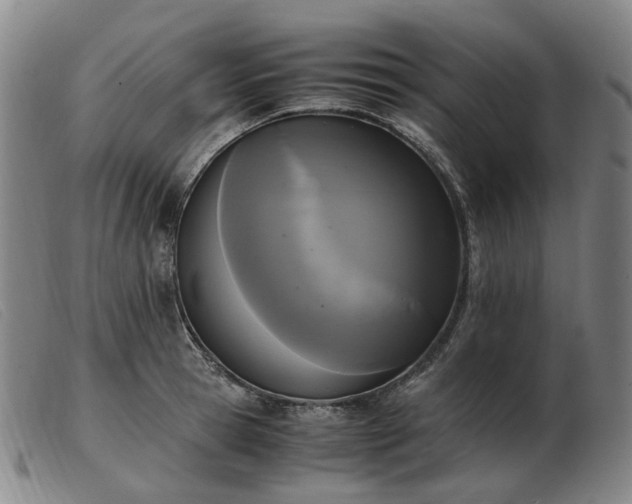 X0000103430945200809191657