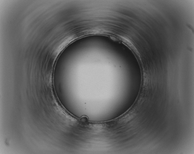 X0000103430946200809191657