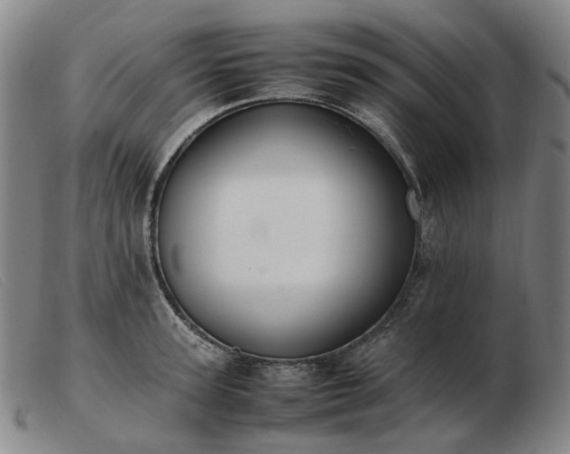X0000103430947200809191657