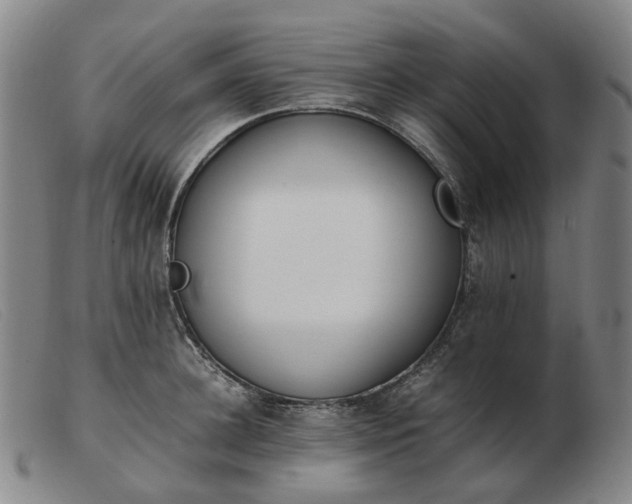 X0000103430948200809191657