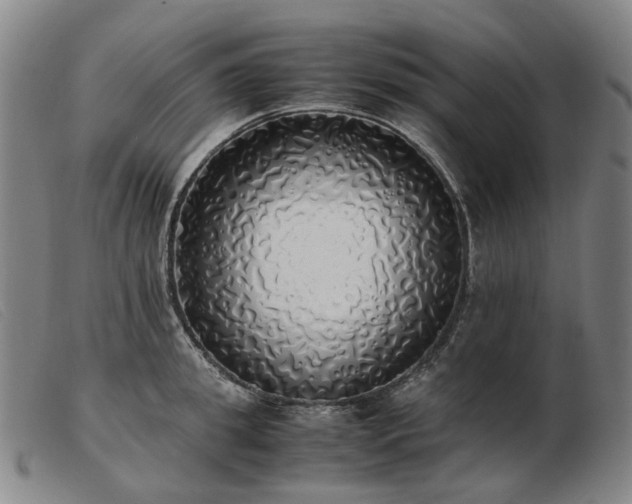 X0000103430949200809191657