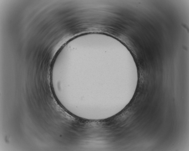 X0000103430950200809191657