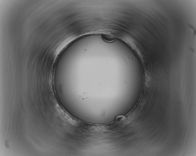 X0000103430952200809191657