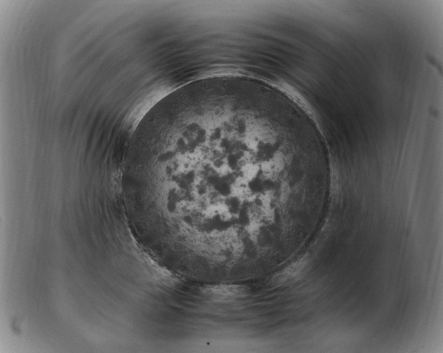 X0000103430953200809191657