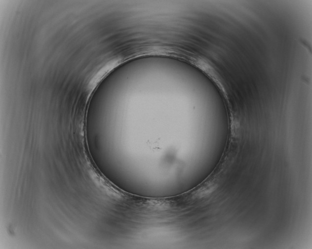 X0000103430954200809191657
