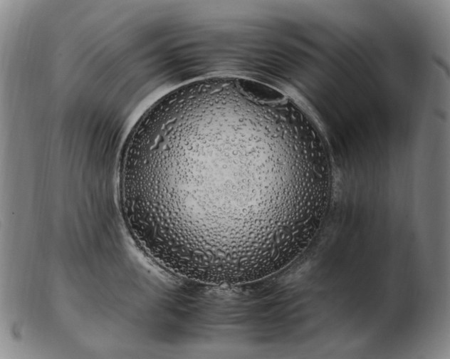 X0000103430955200809191657