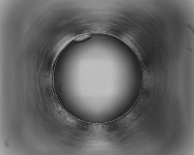 X0000103430956200809191657