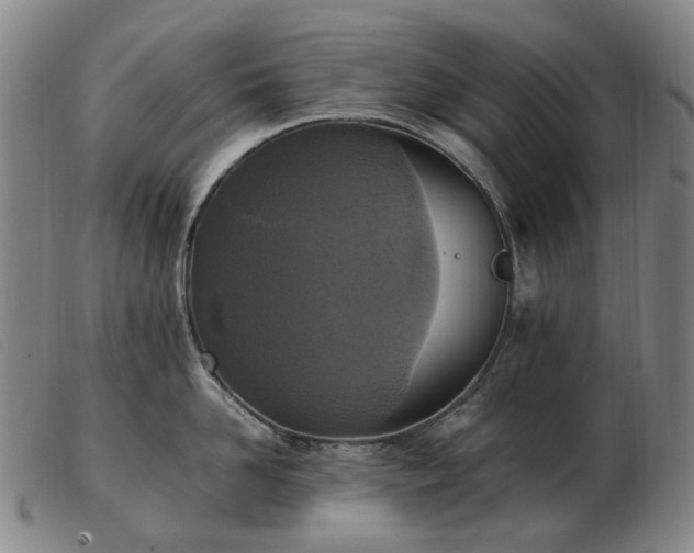 X0000103430958200809191657