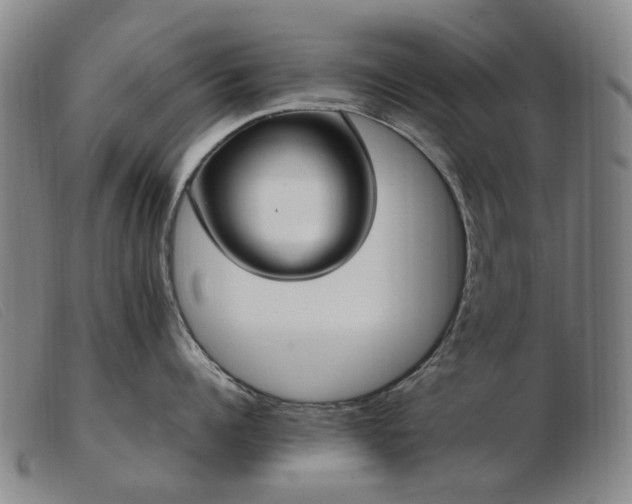X0000103430960200809191658