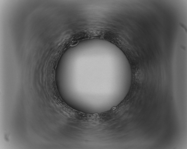 X0000103430961200809191657