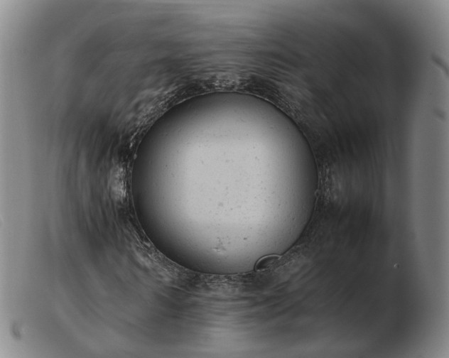 X0000103430962200809191657