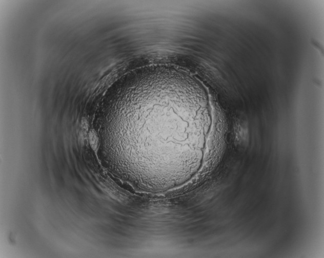 X0000103430964200809191657