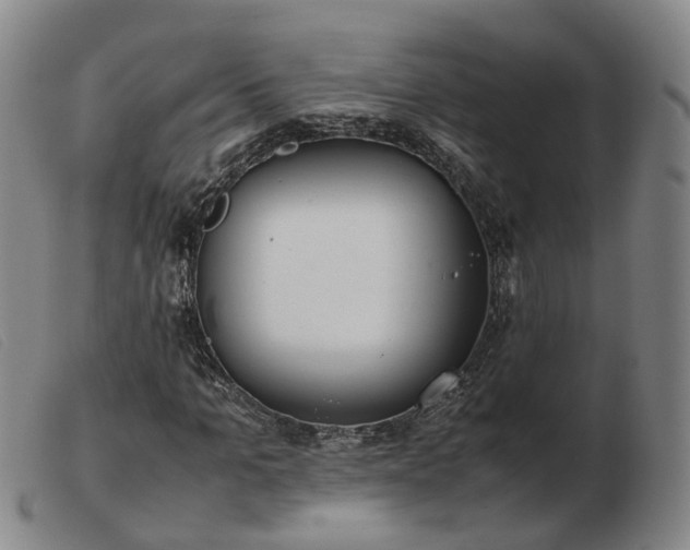 X0000103430965200809191657