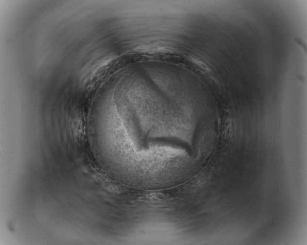 X0000103430966200809191657