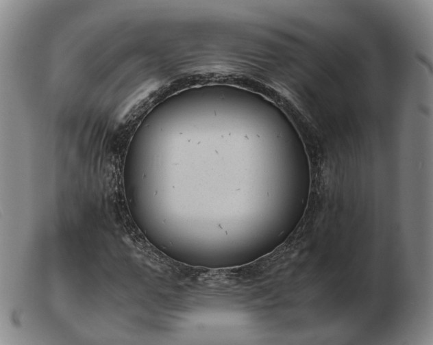 X0000103430967200809191657
