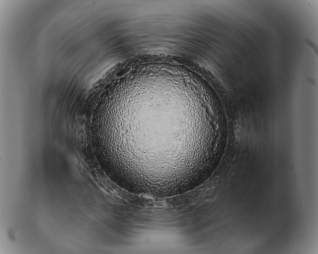 X0000103430968200809191657