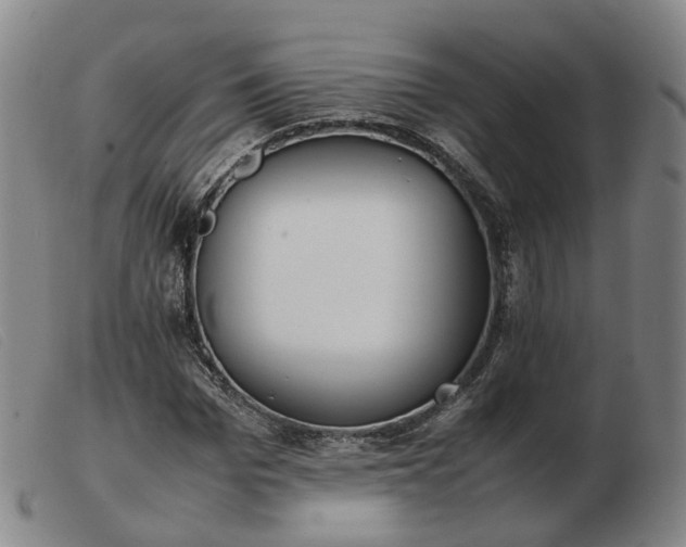 X0000103430969200809191657
