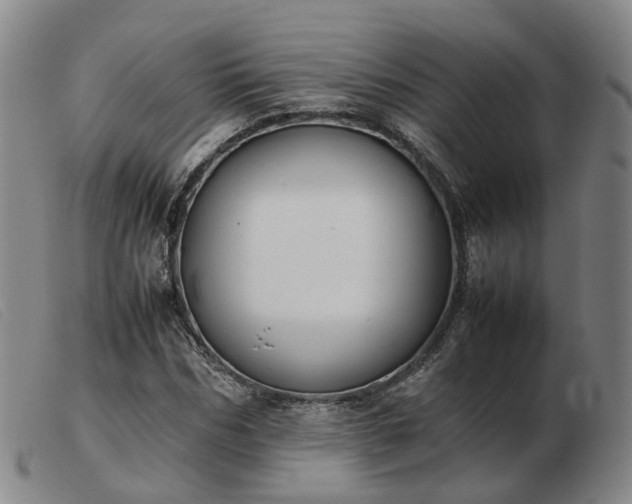 X0000103430970200809191657