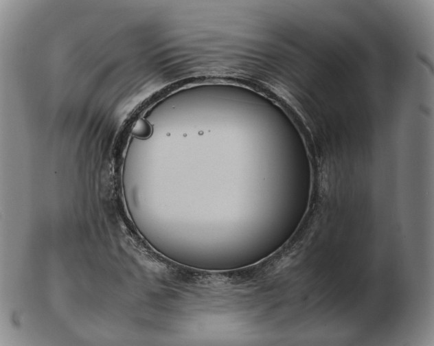 X0000103430971200809191657