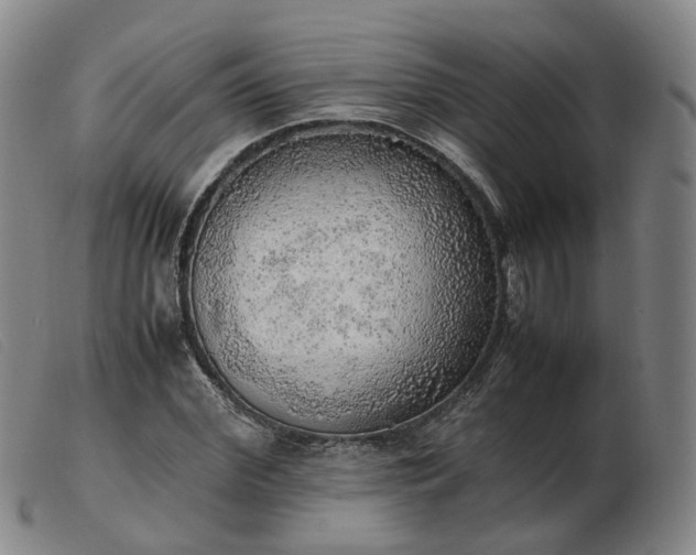 X0000103430972200809191657