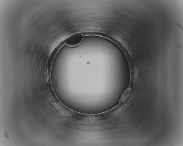 X0000103430973200809191657