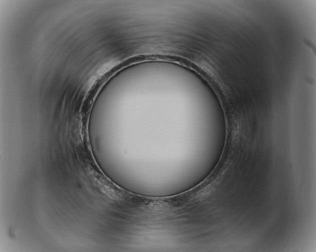 X0000103430974200809191657