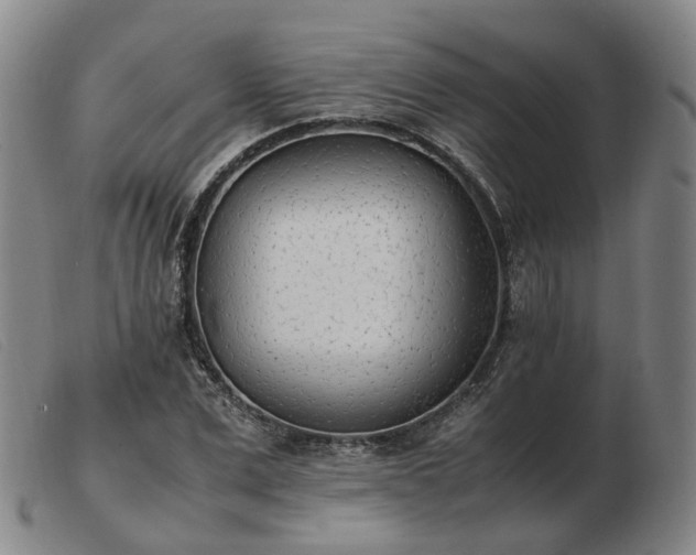 X0000103430975200809191657