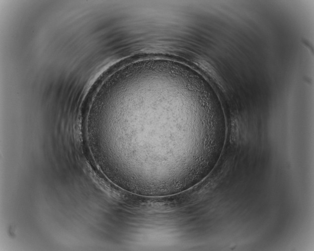 X0000103430976200809191656