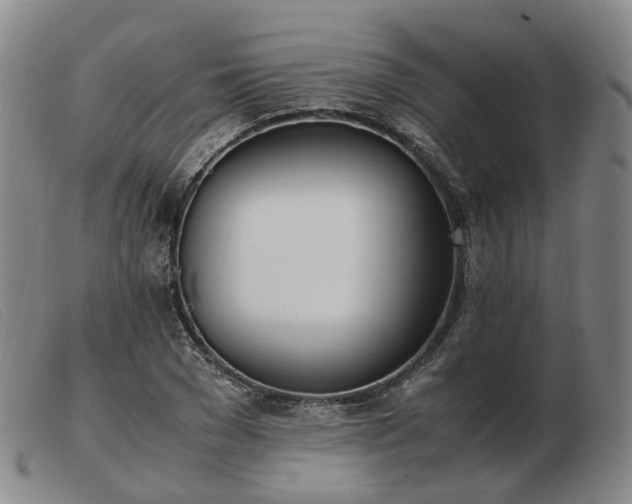 X0000103430977200809191656