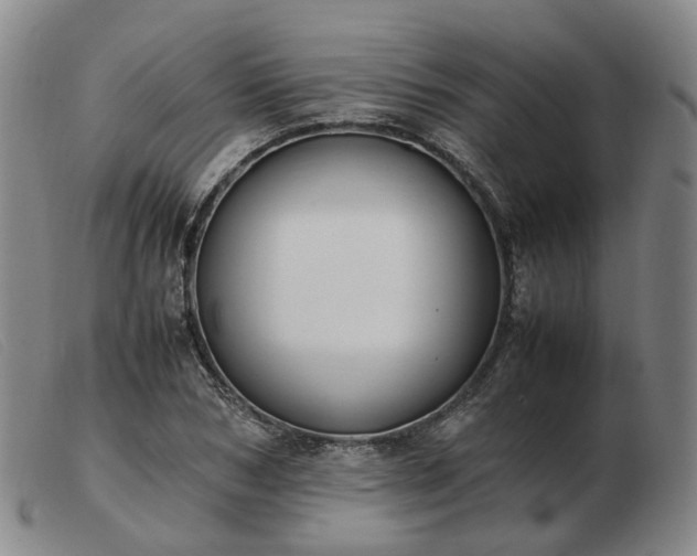 X0000103430978200809191656
