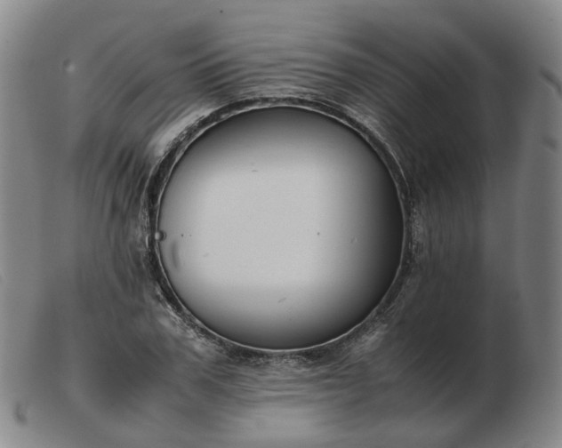 X0000103430979200809191656