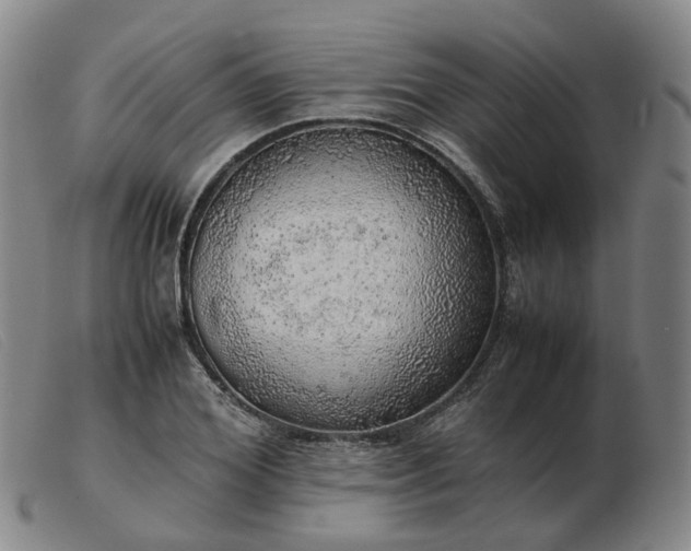 X0000103430980200809191656
