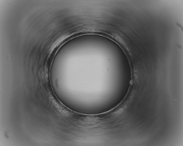 X0000103430981200809191656