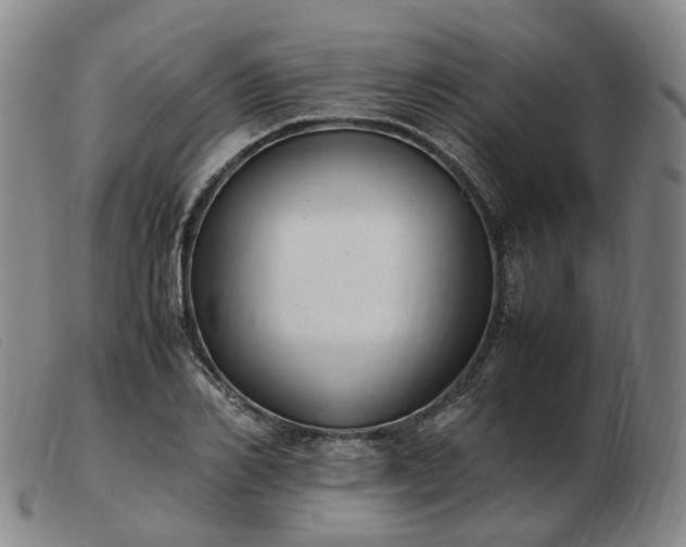 X0000103430982200809191656