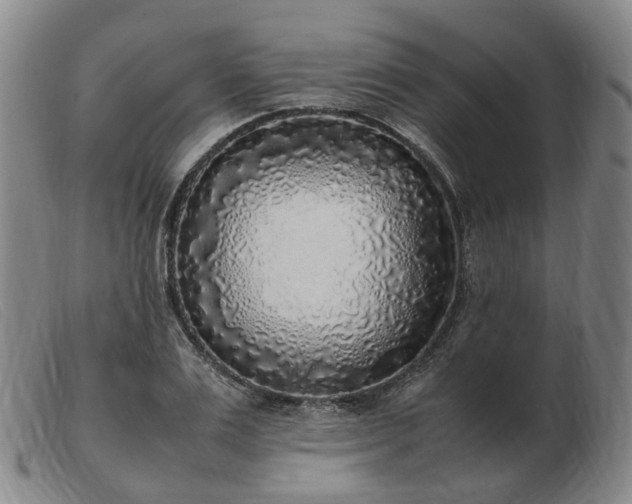 X0000103430983200809191656