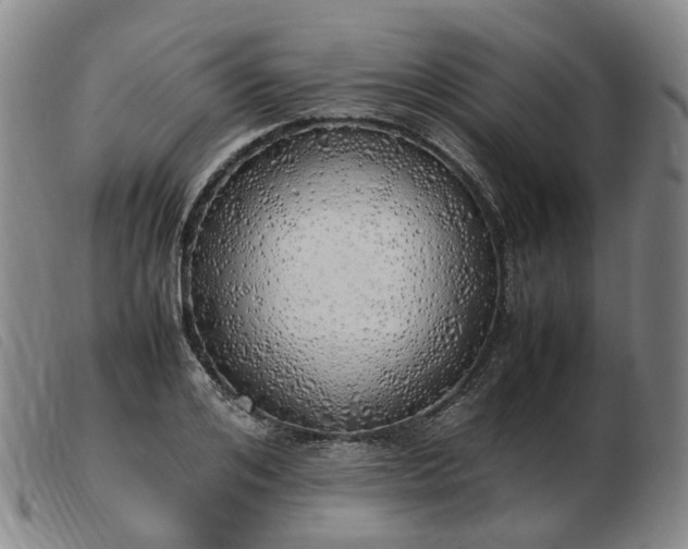 X0000103430984200809191656