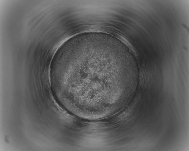 X0000103430988200809191656