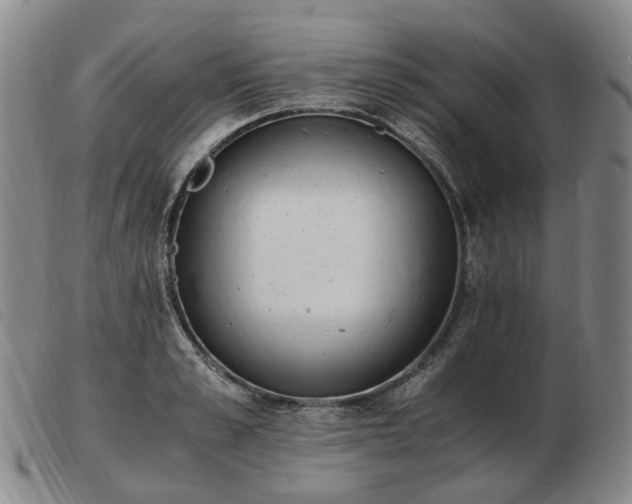 X0000103430989200809191656