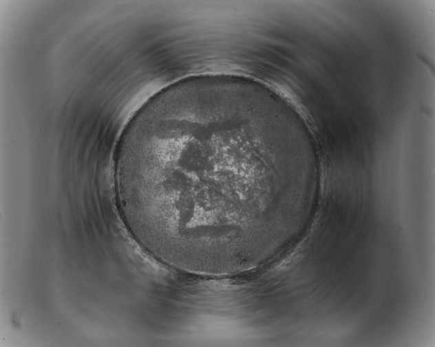 X0000103430990200809191656